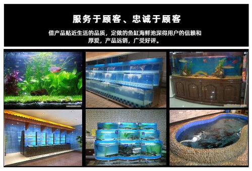 海鮮池定制推薦 欣璽匯專業(yè)圖文設(shè)計(jì)制作服務(wù)